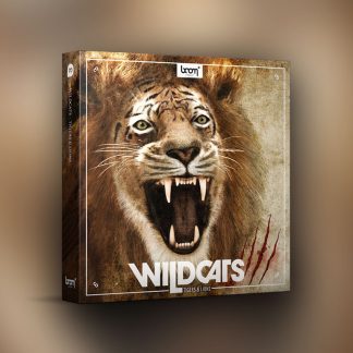 Pluginsmasters - Boom Wildcats