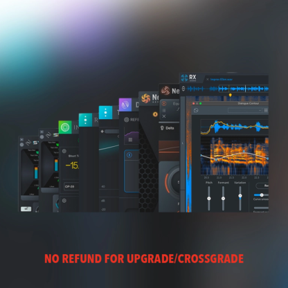 RX Post Production Suite 8.5: Upgrade